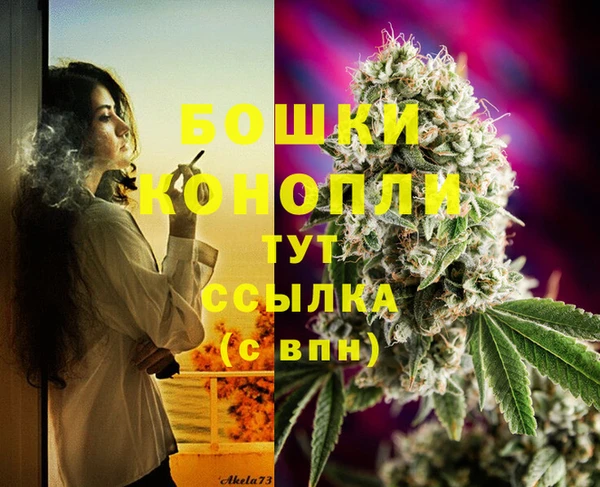спиды Долгопрудный