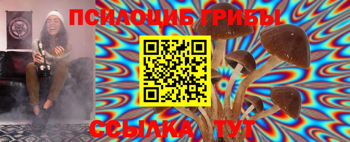 Галлюциногенные грибы GOLDEN TEACHER  где купить   Миасс 